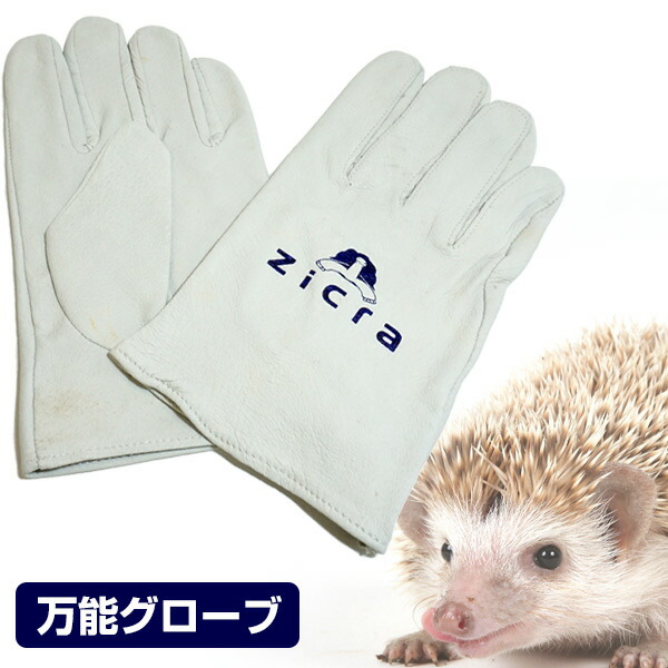 フクロウ✴︎鷹✴︎ハヤブサ✴︎鷲　猛禽類ファルコングローブS 楽天市場】【ショート丈】猛禽用ファルコングローブ【S〜Lサイズ