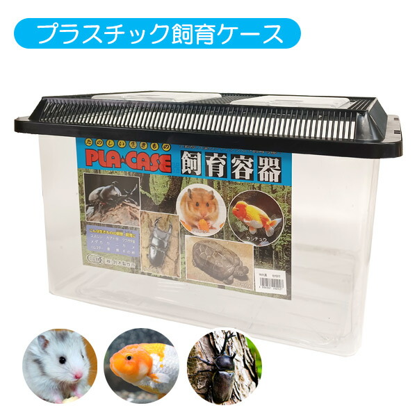 楽天市場】三晃商会 Repti wild レプタイルボックス WIDE