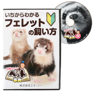 楽天市場 先着限定サイン付き ゆうパケットok メール便 いちからわかる フェレットの飼い方 Dvd フェレット 鼬 イタチ 飼育 飼い方 飼育本 Dvd ビデオ 辞典 事典 お手入れ 健康管理 食事 耳掃除 爪切り シャンプー 病気 ケガ フェレットワールド 楽天市場店