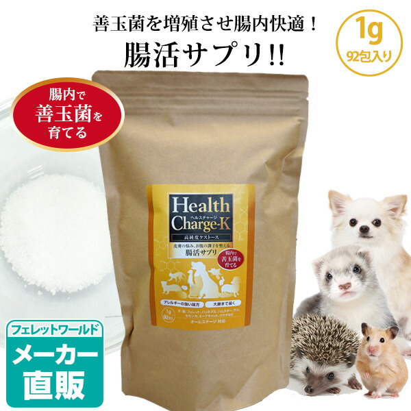 フェレットの悧巧の寒さ打つ手
