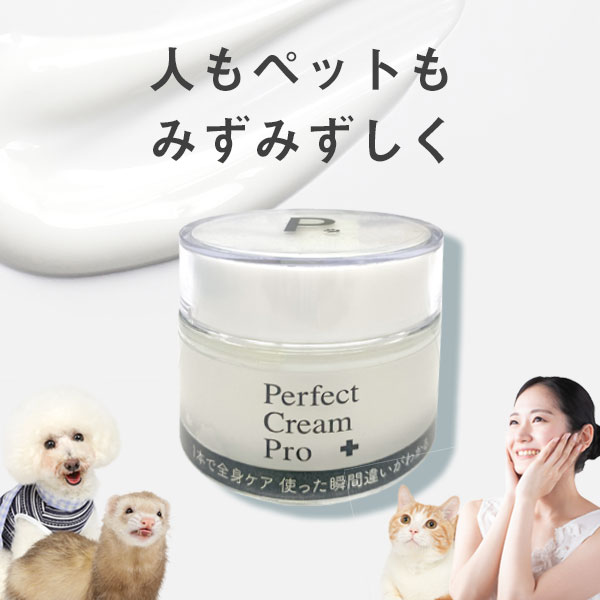 P ピードット パーフェクトクリーム プロ 50g 臨床獣医師監修 犬 フェレット 小動物 ねこ 猫 ペット 保湿 潤い 乾燥 お手入れ ボディケア 全身 スキンケア 化粧水 頭皮 皮膚 ヘアケア 水素イオン 肌 国産 弱酸性 ハンドケア 被毛 ブラッシング グルーミング