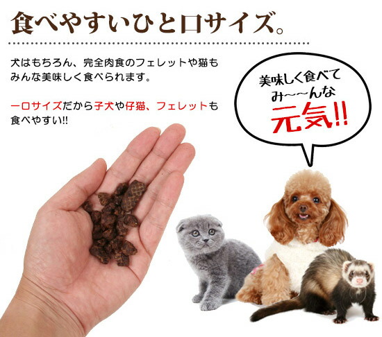 楽天市場 ゆうパケットok メール便 フェレット ちょこっと極みシリーズ まるごとうずら 35g 国産 完全無添加 犬 ドッグ フェレット 猫 フード ドッグフード ご飯 エサ 餌 オヤツ おやつ 国産素材 サプリメント 健康維持 オールステージ 無着色 フェレット