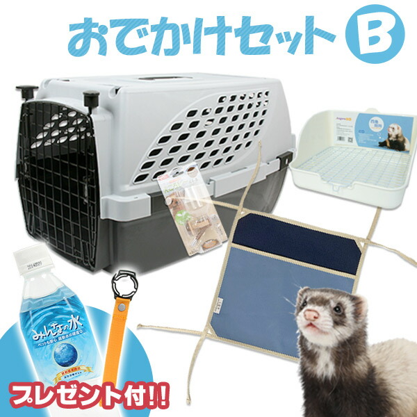 おでかけセットB フェレット お出掛け ハードキャリー キャリーバッグ 外出 散歩 水飲み トイレ ハンモック ペットボトル 飲料水 セット 小動物 送料無料 ペットスイート LIP