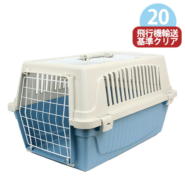 フェレットの悧巧の寒さ打つ手
