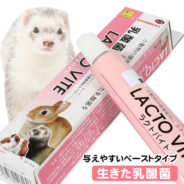 楽天市場】フェレット 三晃商会 フェレット ヘルシーバイト 50g【栄養