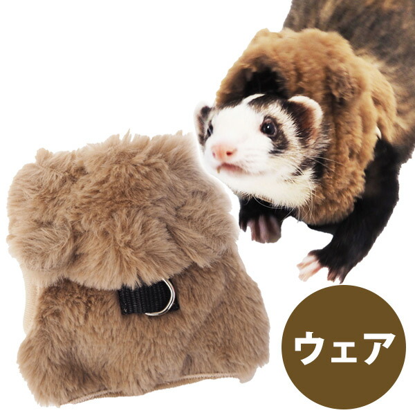 楽天市場】※おしゃれなフェレットさんにおすすめ！※【MarshalPet