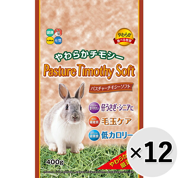 【容れもの売りわたす】パスチャーチモシーソフト 400g×12コ