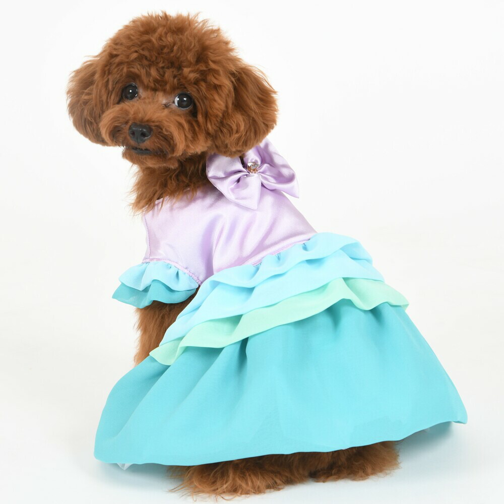 【BONNIE\u0026CO. ボニー＆コー】 Ｂｏｎｎｉｅ Ｆｅｅ (ボニー 料金)犬 服 犬服 ドッグウェア