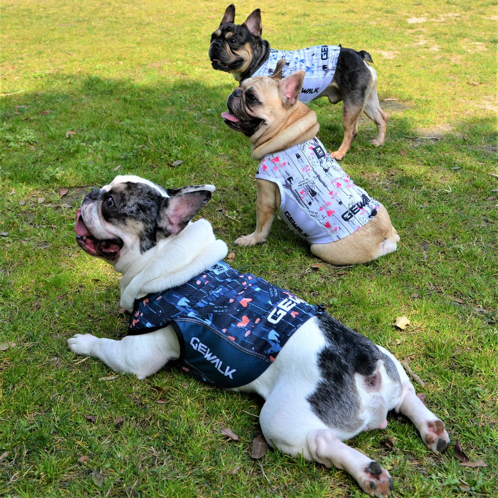 楽天市場】ALPHAICON アルファアイコン サマークーリングタンクトップ