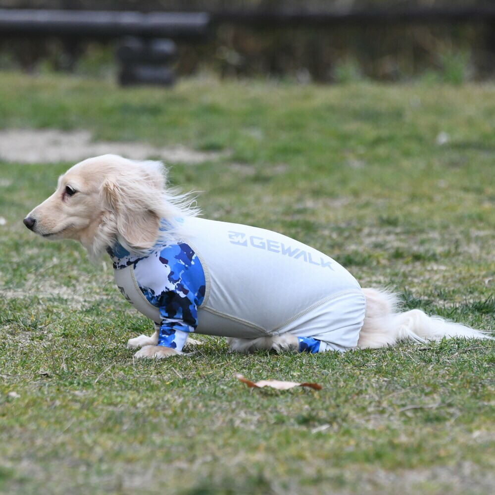 【【GEWALK ジウォーク】マイナス ロンパース【DM BS】ラッシュガード 犬 いぬ イヌ DOG 服 アウトドア  PETSREPUBLICファクトリーストア
