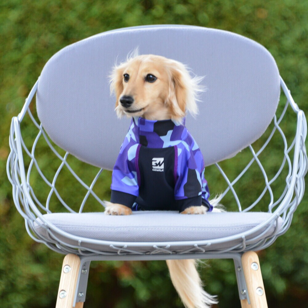 楽天市場】ALPHAICON アルファアイコン フルドッグガード SMサイズ 高