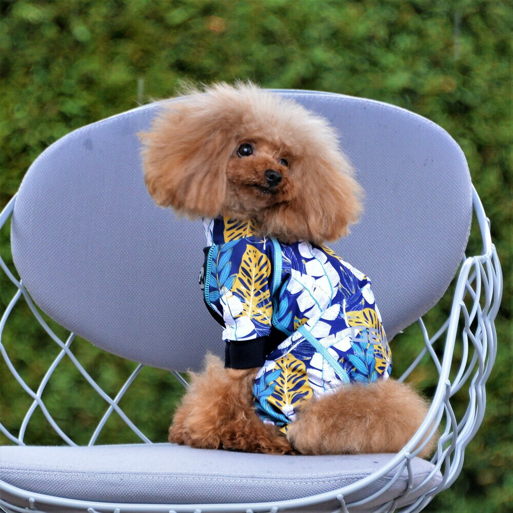 楽天市場】ALPHAICON アルファアイコン フルドッグガード SMサイズ 高