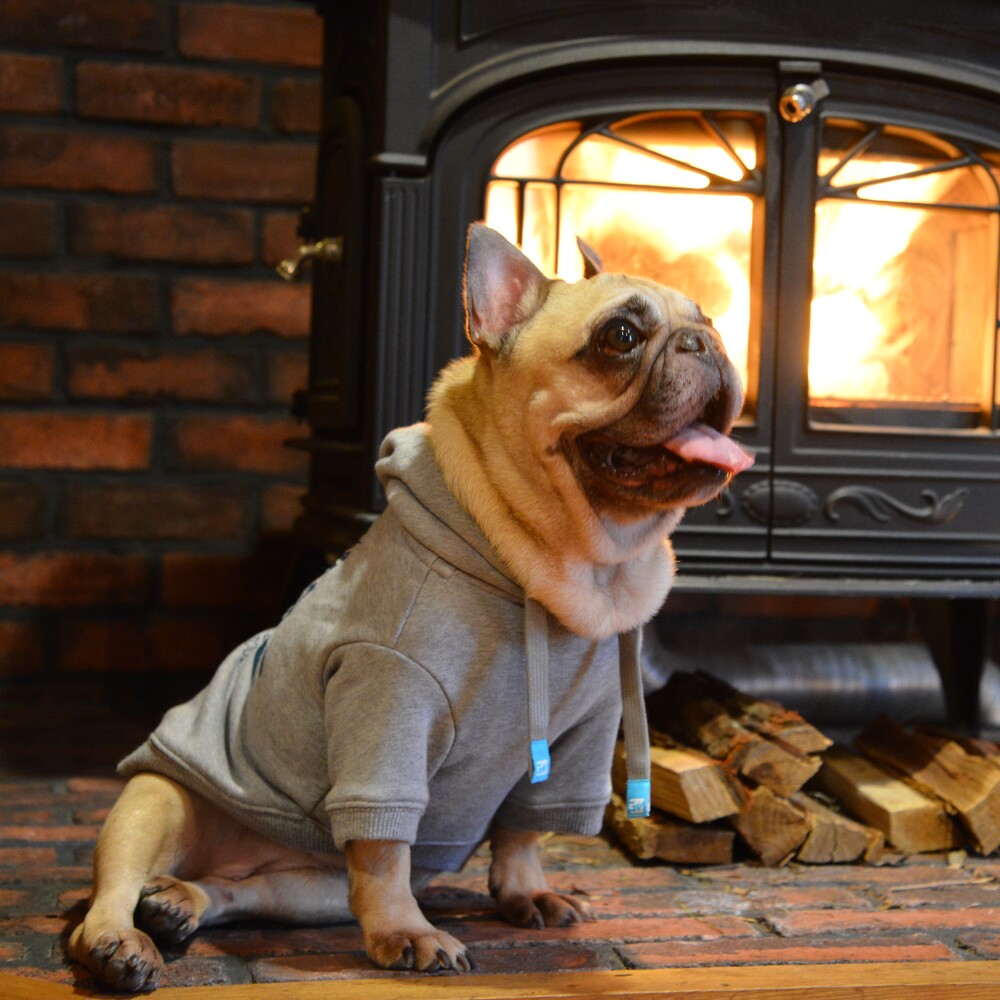 楽天市場】ALPHAICON アルファアイコン ドッグウェア Lサイズ＜ダブル