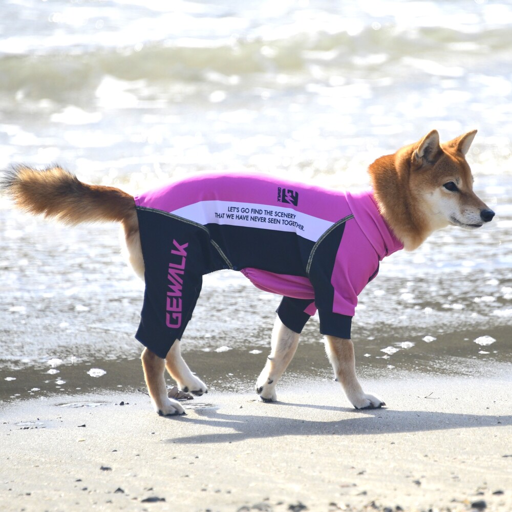中型犬【GEWALK　ジウォーク】５３８プロテクト　ストレッチ　ロンパースラッシュガード犬服 ペット服 夏服 ドッグウェア　アウトドア　水遊び　マリンスポーツ　ウォータースポーツ　サップ　ドックサップ