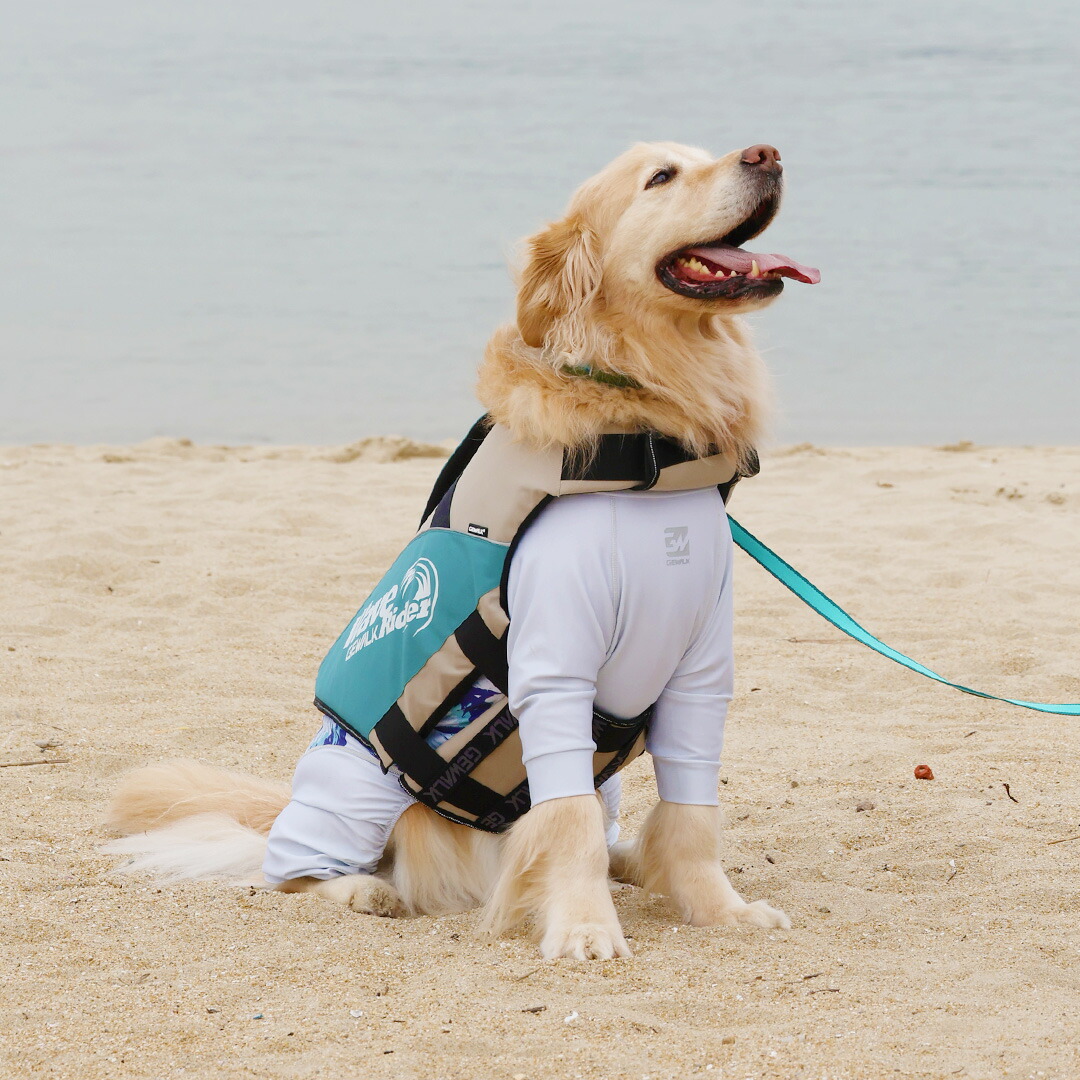 大型犬【GEWALK ジウォーク】３１８ Ｗａｖｅ Ｒｉｄｅｒ Ｅｃｏ犬用生命現象上衣 （XL,2XL.3XL）米国海兵隊員運動競技 ドック御召しもの アウトドア 水遊び サップ ドックサップ 貨物輸送無料 犬用 生命現象上衣