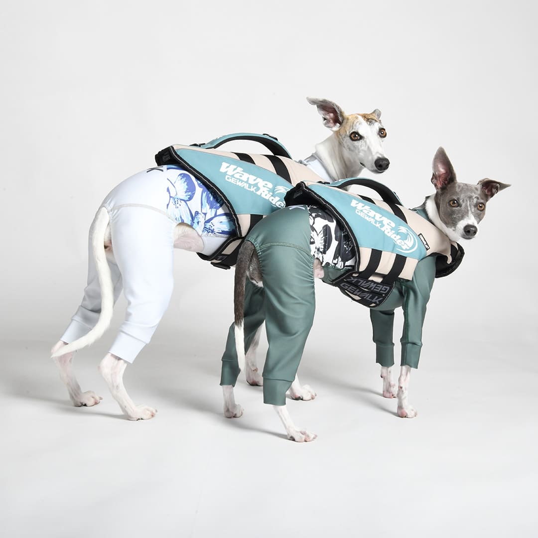 中型犬【GEWALK ジウォーク】３１８ Ｗａｖｅ Ｒｉｄｅｒ Ｅｃｏ犬用生命現象上衣 （M,L）米国海兵隊員運動競技 ドック御召しもの アウトドア 水遊び サップ ドックサップ 貨物輸送無料 犬用 生命現象上衣