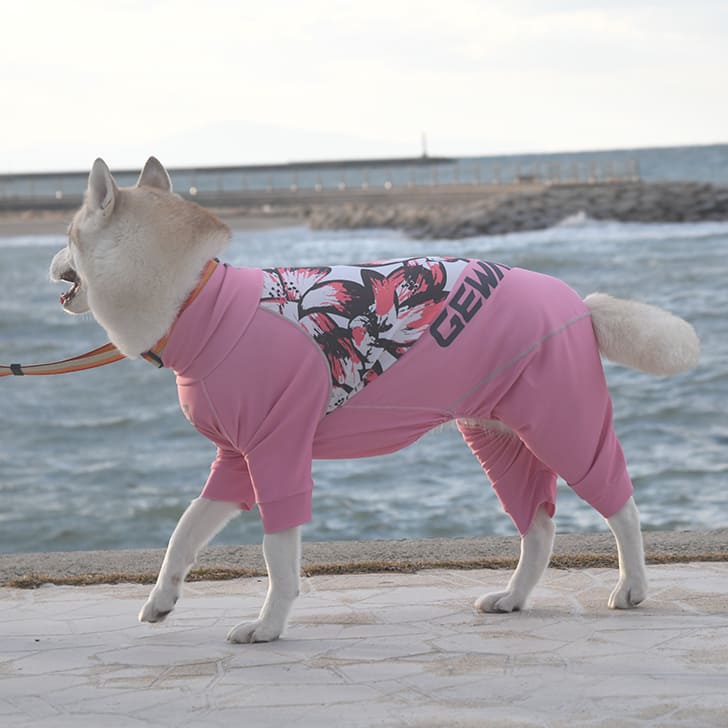 大型犬 【GEWALK ジウォーク】５４７保護 伸ばすこと ロンパース犬 秘密捜査員 飼い犬 DOG 服 アウトドア