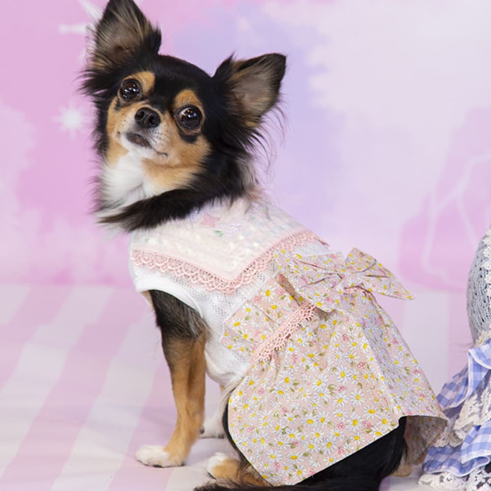 限定製作 マーガレットセーラーワンピース 犬 服 犬服 ドッグウェア ワンピース Qdtek Vn 限定製作 マーガレットセーラーワンピース 犬 服 犬服 ドッグウェア ワンピース Qdtek Vn