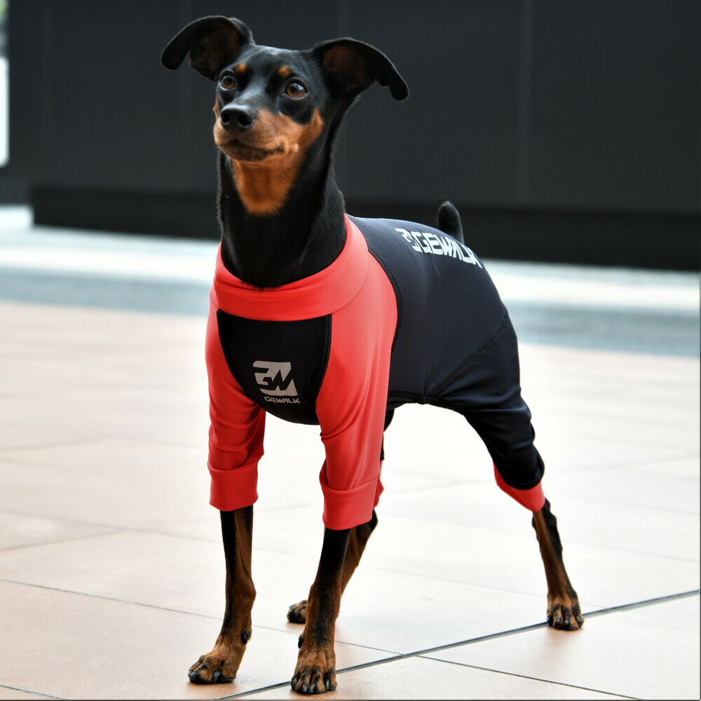 超美品再入荷品質至上! 光電子 ロンパース犬 いぬ イヌ DOG 服 アウトドア memi.