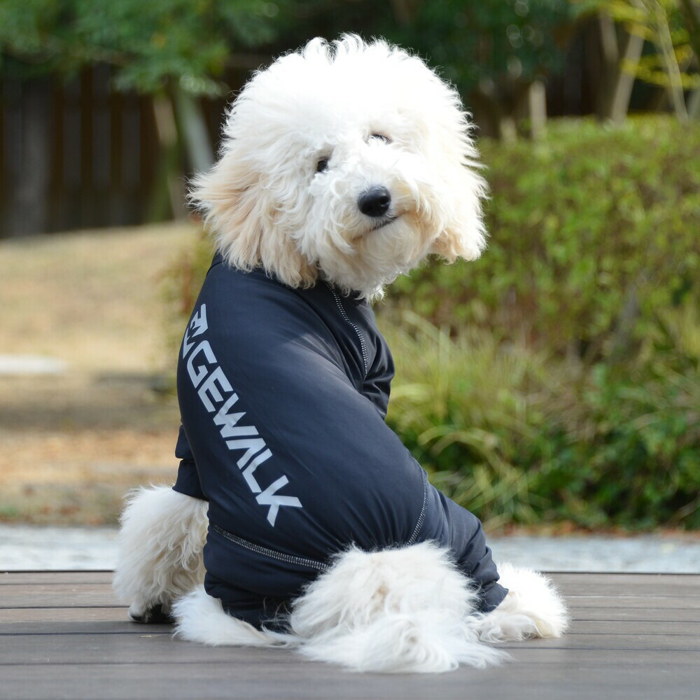 楽天市場 Gewalk プロテクト ストレッチ ロンパース ラッシュガード 3l 犬 いぬ イヌ Dog 服 アウトドア マリンウェア Petsrepublicファクトリーストア