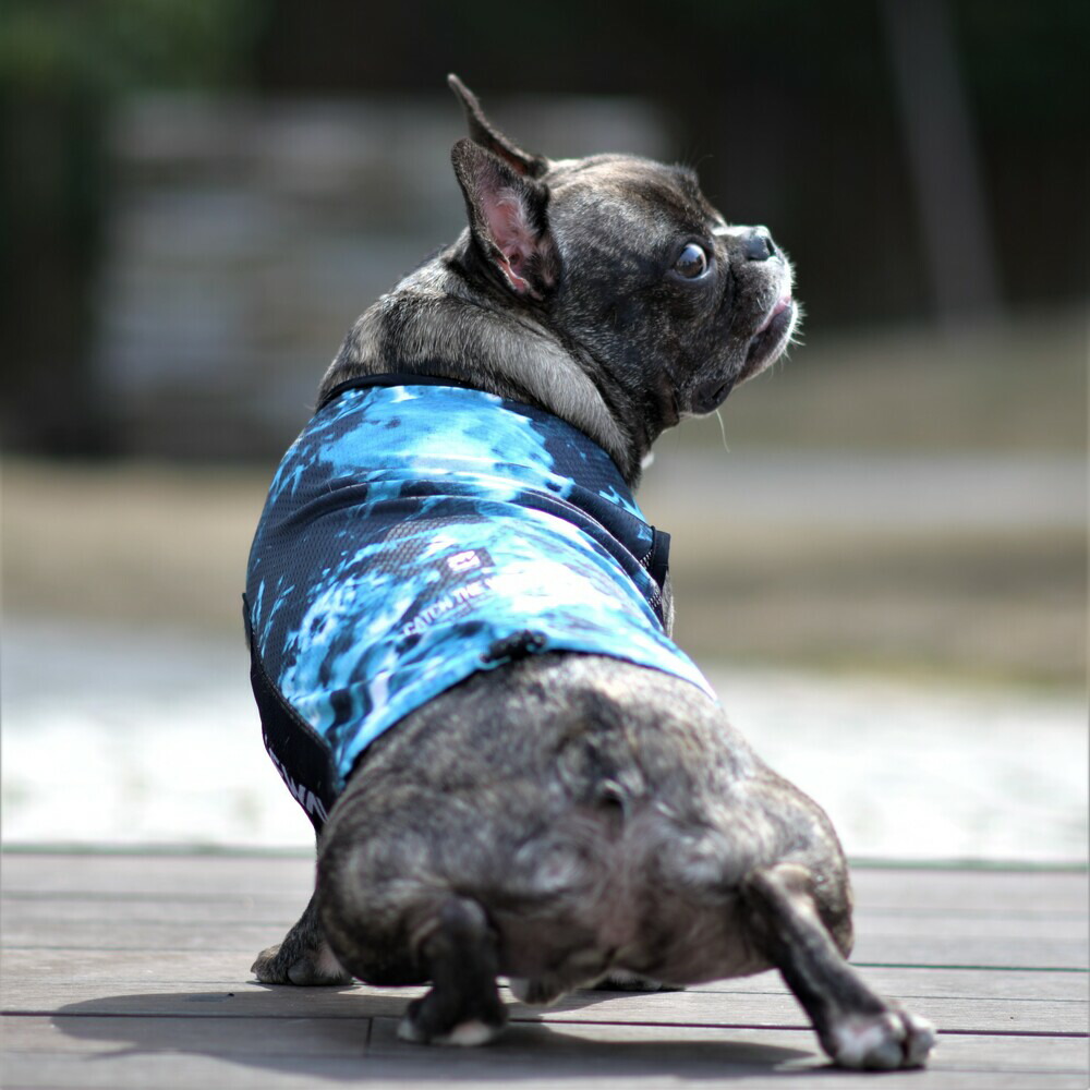 最大91％オフ！ GEWALK ジウォーク アクティブ クーリング タンクトップ 3XL 犬 いぬ DOG 服 アウトドア  whitesforracialequity.org