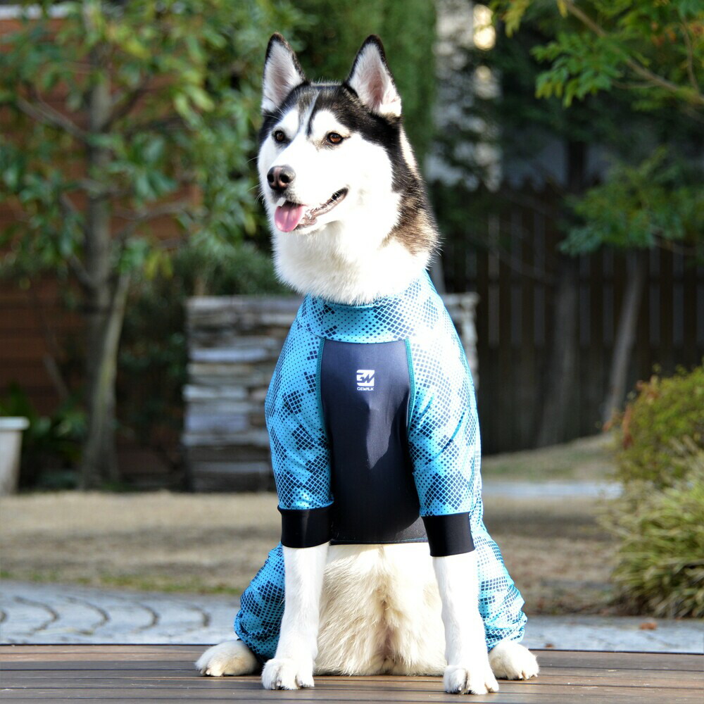 楽天市場 Gewalk プロテクト ストレッチ ロンパース ラッシュガード 3l 犬 いぬ イヌ Dog 服 アウトドア マリンウェア Petsrepublicファクトリーストア