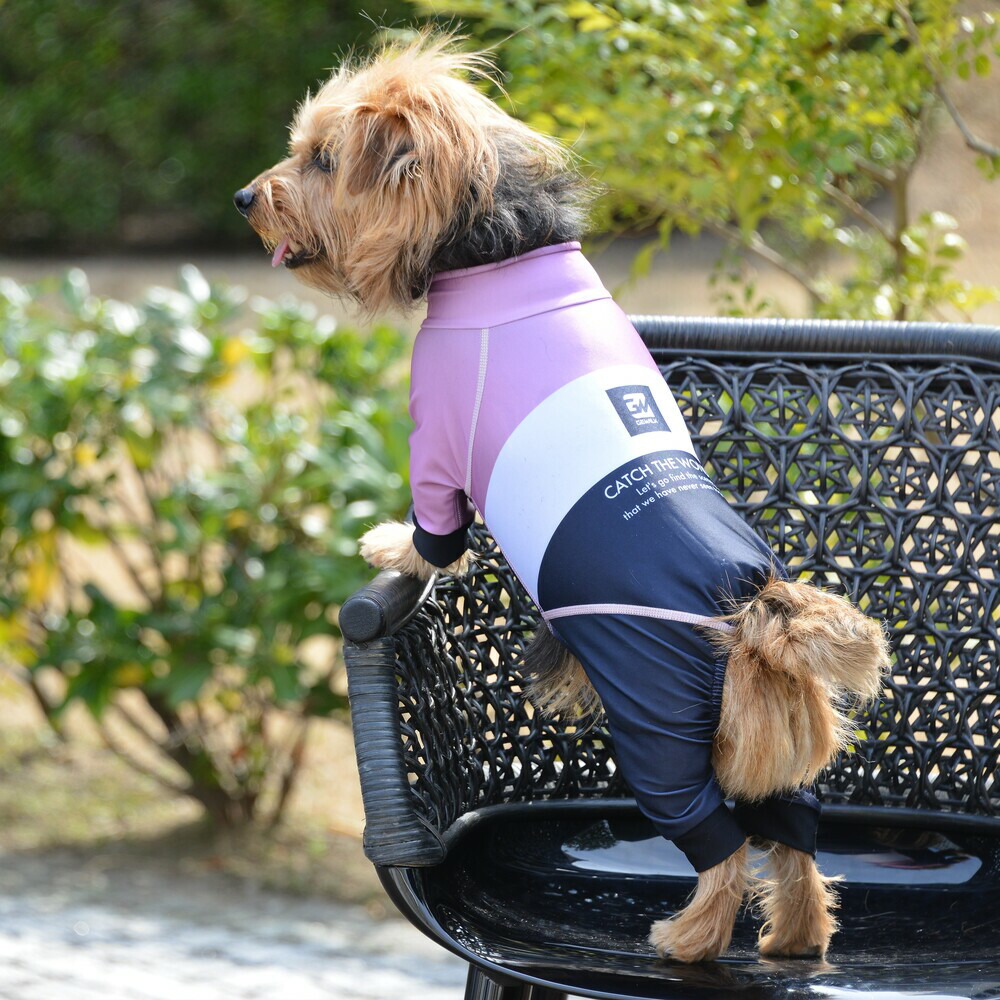 新品同様 Gewalk ジウォーク プロテクト ストレッチ ロンパース Xs S M 犬 いぬ イヌ Dog 服 アウトドア マリンウェア Abamedyc Com