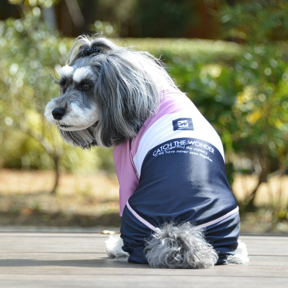 楽天市場 Gewalk プロテクト ストレッチ ロンパース ラッシュガード 3l 犬 いぬ イヌ Dog 服 アウトドア マリンウェア Petsrepublicファクトリーストア