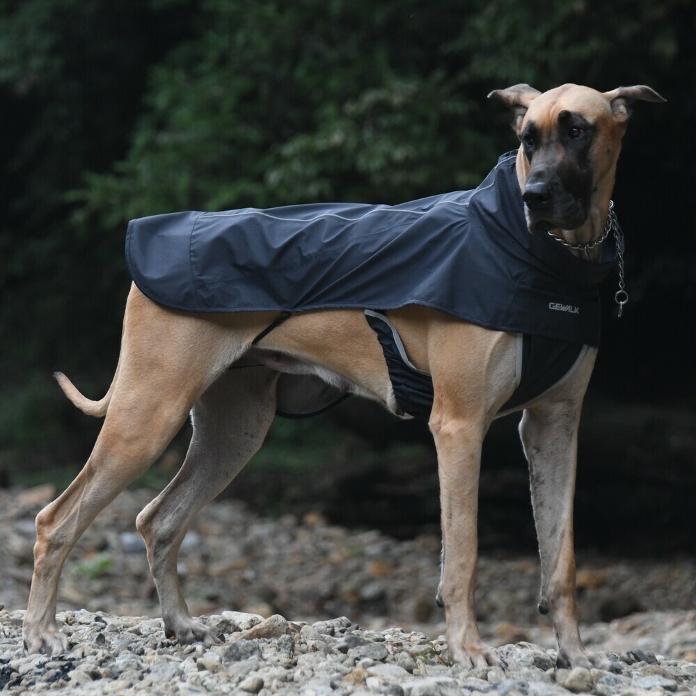 楽天市場】ALPHAICON アルファアイコン フルドッグガード SMサイズ 高