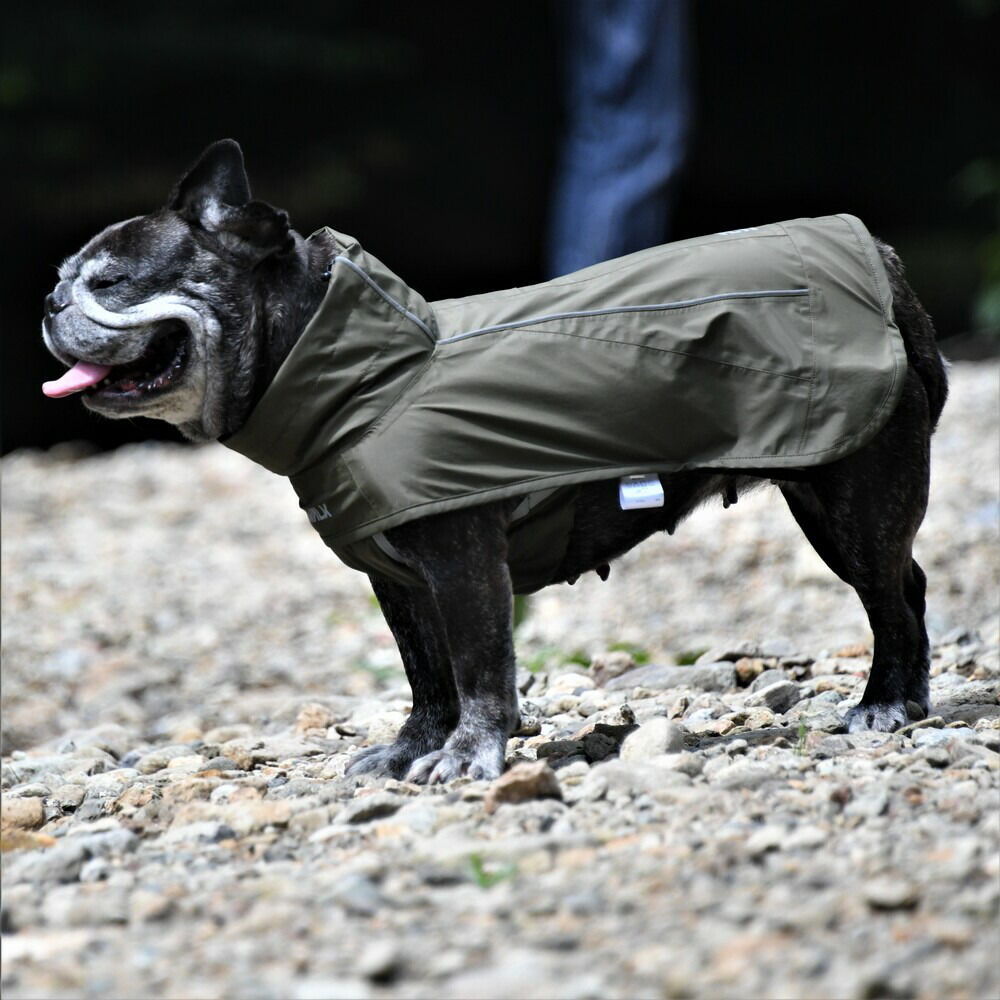 【SM】ALPHAICON DOG GUARD BASE シープ 3_dbfaf3b1-fef3-43b0-94e1-