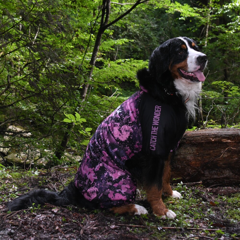 楽天市場】ALPHAICON アルファアイコン スパンニットカバーオール 1L