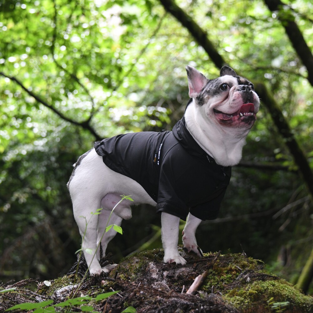 楽天市場】DOG HOUSE (ドッグハウス） M-65/FIELD JACKET 660015