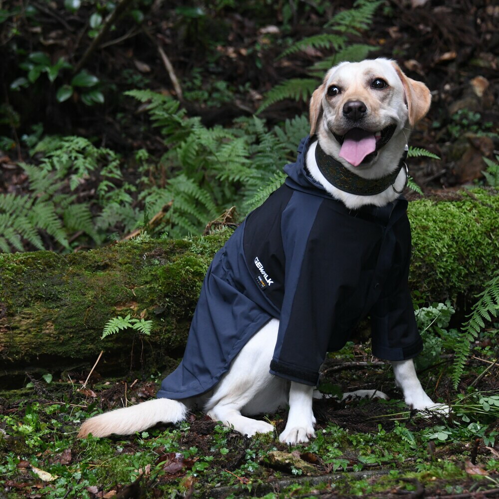 楽天市場】ALPHAICON アルファアイコン ドッグウェア Lサイズ＜ダブル