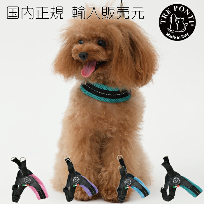 楽天市場】【TRE PONTI トレポンティ】フィッビア アジャスタブルタイプ ペニーコレクション【2号 2.5号】 犬 いぬ イヌ DOG 首輪  ハーネス リード リーシュ 国内正規輸入販売元 : PETSREPUBLICファクトリーストア