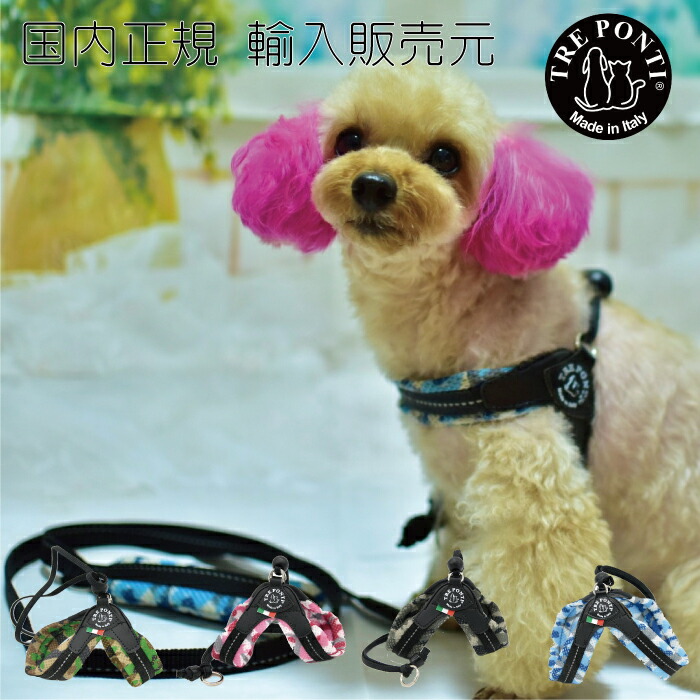 SALE／78%OFF】 リーシュ フォー スモール ブリーズ 犬 いぬ イヌ DOG 首輪 ハーネス リード 国内正規輸入販売元  newschoolhistories.org