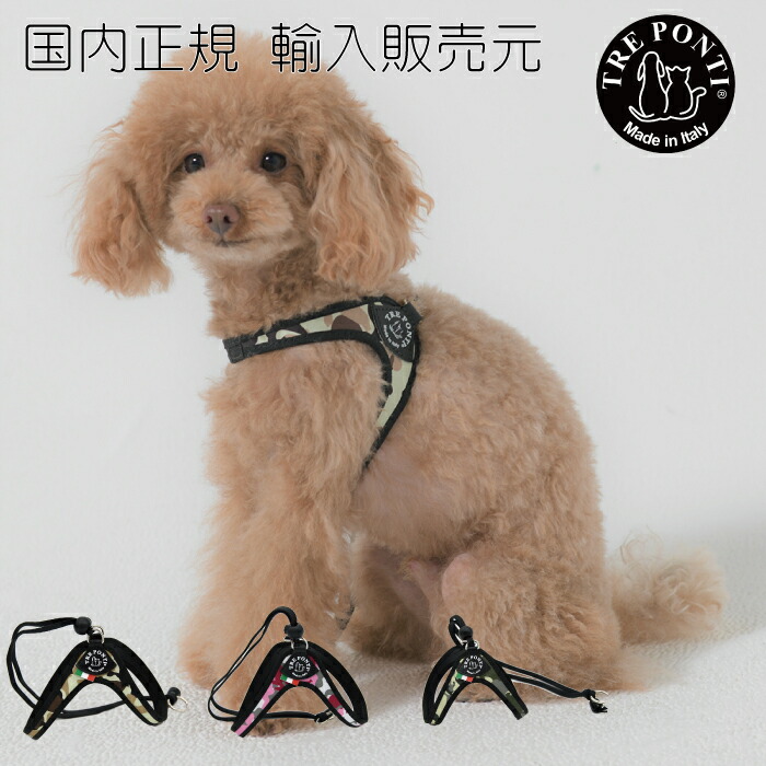 SALE／78%OFF】 リーシュ フォー スモール ブリーズ 犬 いぬ イヌ DOG 首輪 ハーネス リード 国内正規輸入販売元  newschoolhistories.org