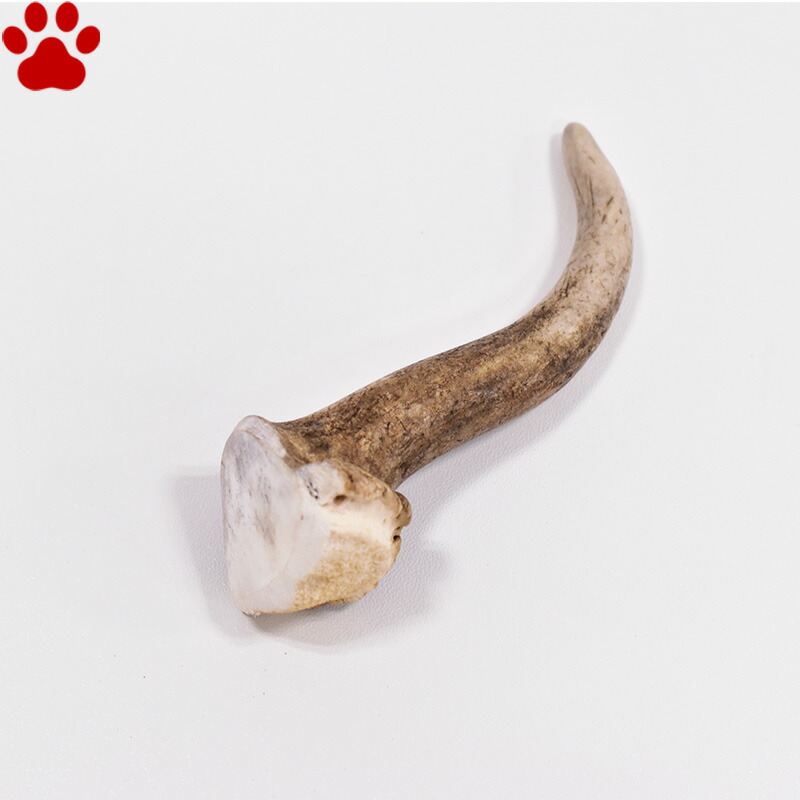 鹿の角 30本 鹿の角 小型 犬 用 鹿角さん 四つ割りロング 2本 天然 無添加