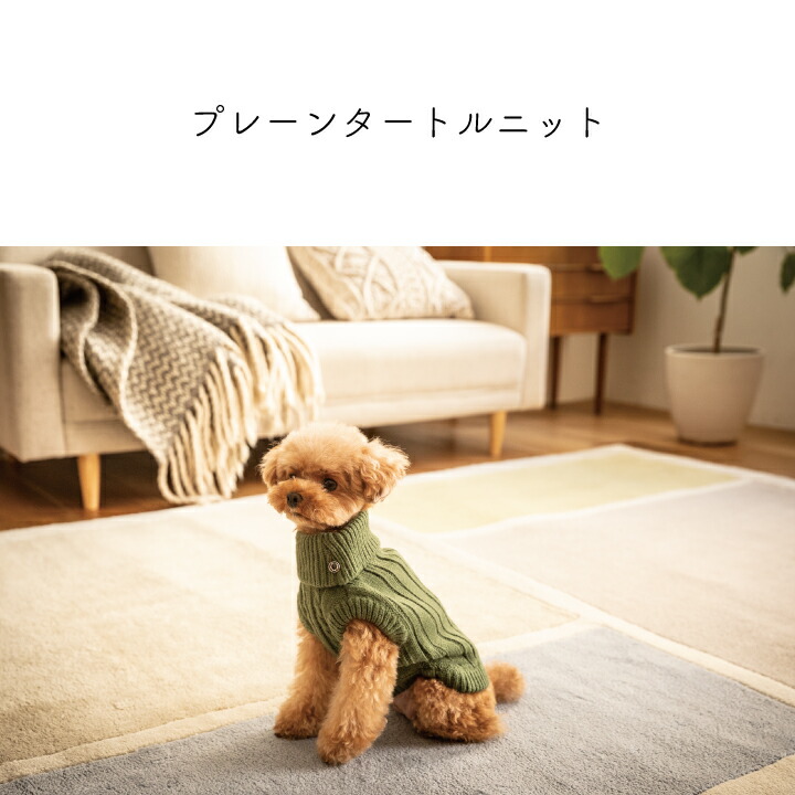 nonnative×dogdays 3着セット+researchafricapublications.com