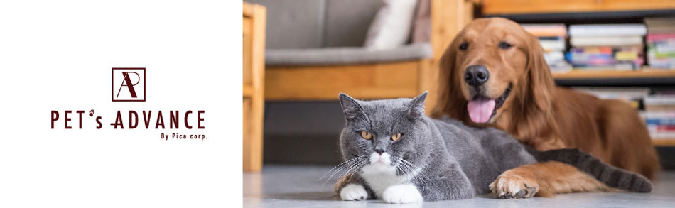 楽天市場 熱い道路もこれで安心 犬 靴下 靴 犬 足 ブーツ オールシーズンブーツ Pawtect パウテクト おしゃれ かわいい ペット ケガ 治療 雨靴 レインシューズ 雪 床保護 保護シューズ 肉球 散歩 自傷 傷舐め 防止 室内 屋外 Petsadvance