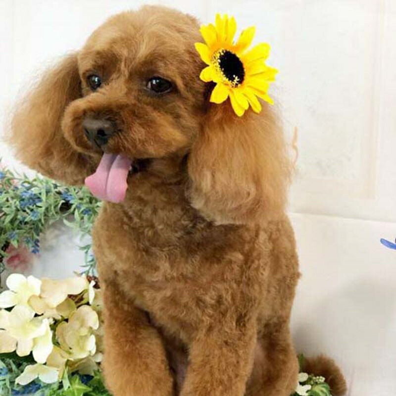 犬用 ビッグひまわりリボン ペット用 R 712 業務用 猫用 16ヶ入