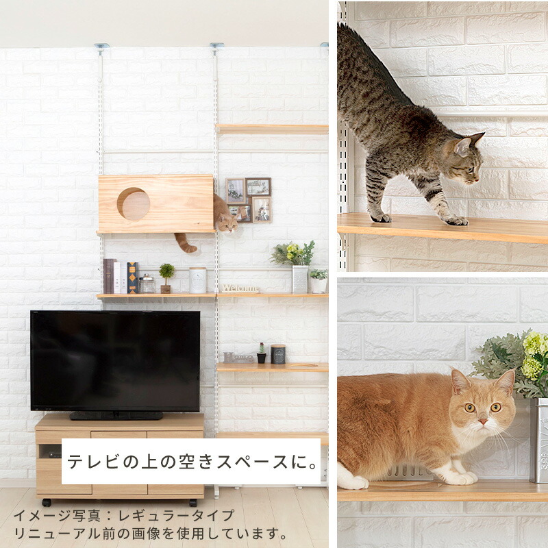 スーパーセール限定 定価より50%OFF】キャットタワー キャット