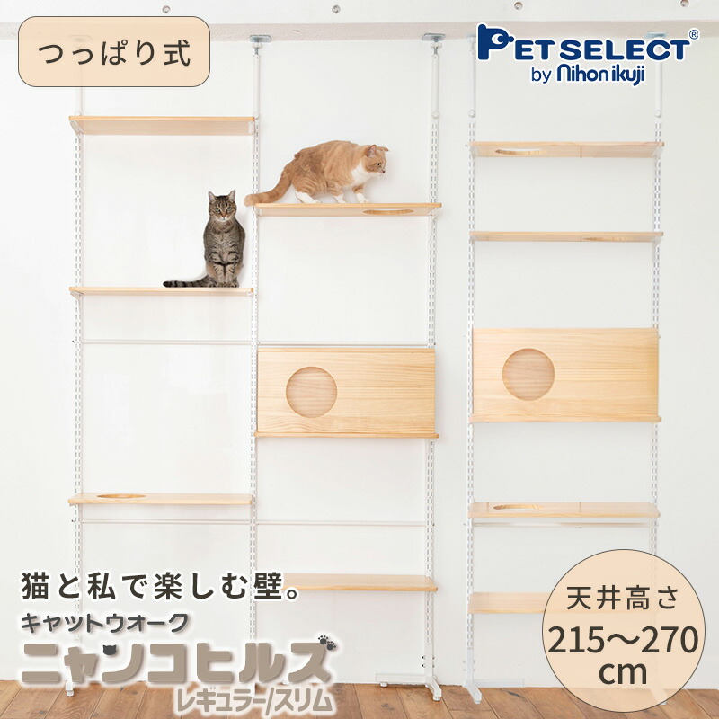楽天市場】【マラソン限定 P5倍+最大350円クーポン※要取得