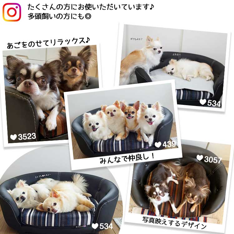 楽天市場 リージェント ブランド インポート 犬 おしゃれ 春 夏 秋 冬 猫 ペット用 カドラー マット クッション 小型犬 ゆったり クリスマス 家具 インテリア ストライプ フェイク レザー ペット ソファ Pet Select By Nihonikuji