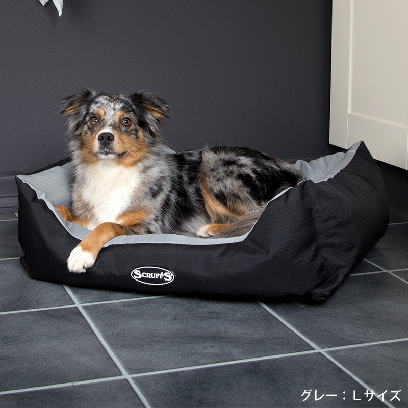 勃起不全と超音波治療