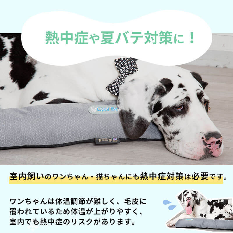 クール ベッド 夏 春 ペット用 冷却 ペット ジェル 洗える 犬用 カドラー ブランド 猫 大型犬 洗濯 Xl おしゃれ 犬 ひんやり