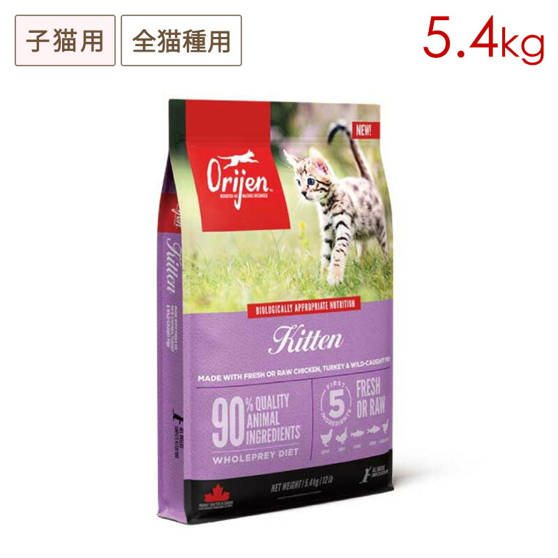 獣お医者さんに聞いてみよう！愛玩動物のお苦しむこと話し合う室
