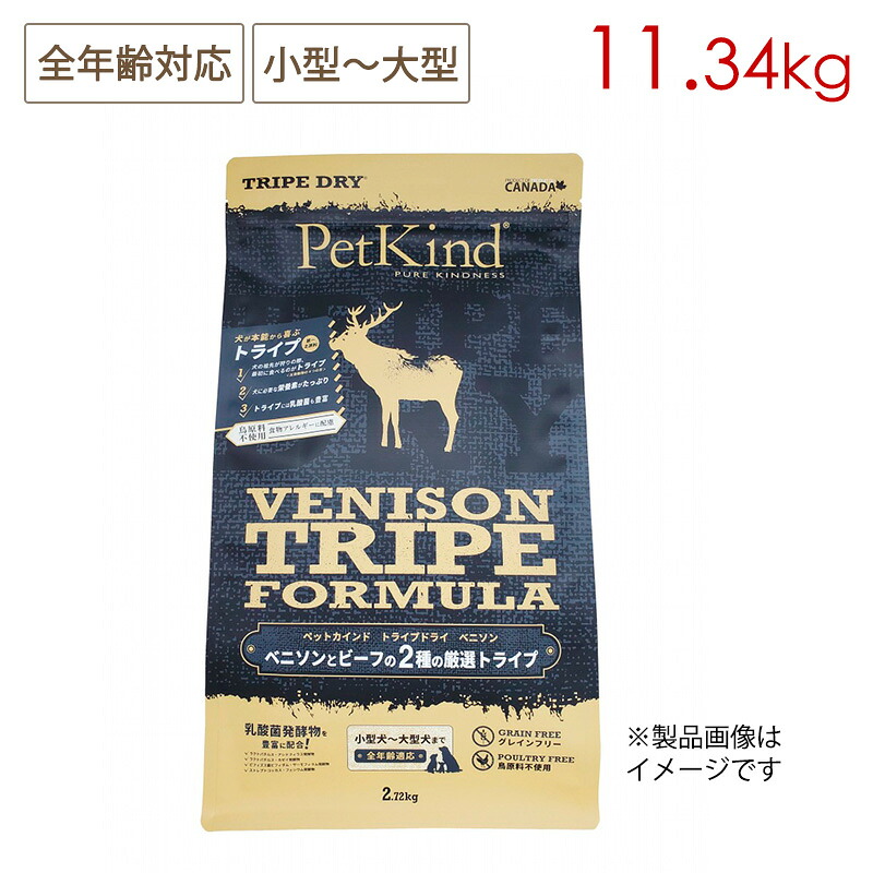 獣御医者さんに聞いてみよう！愛玩動物のお苦しむこと話しあい室