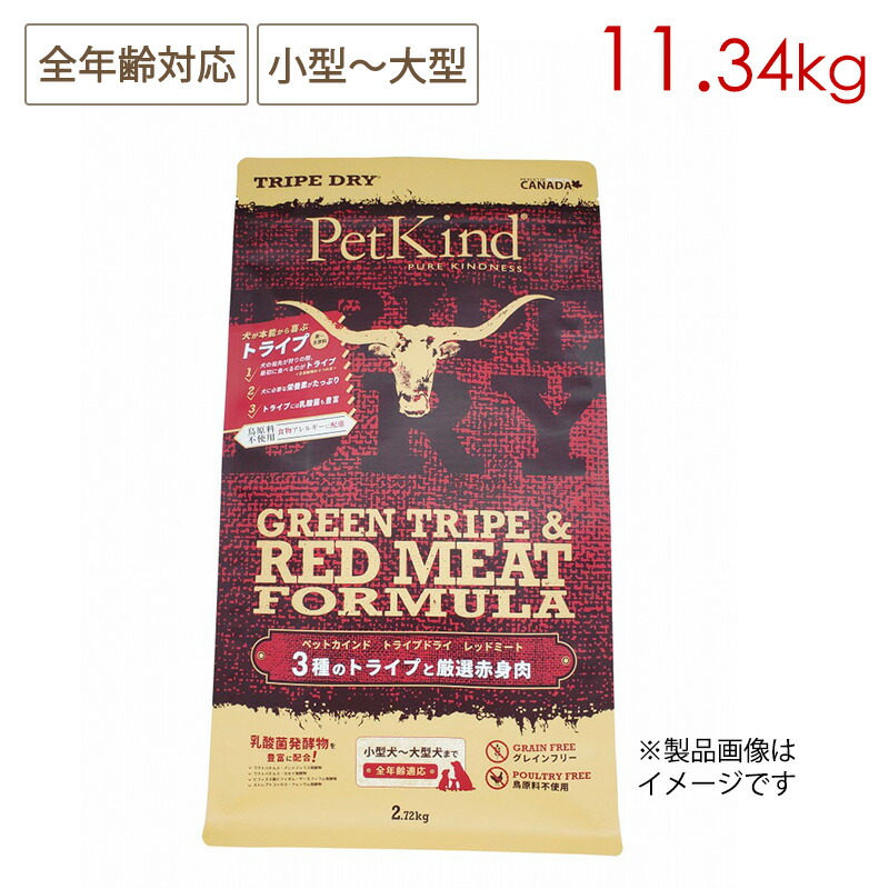 獣御医者さんに聞いてみよう！愛玩動物のお苦しむこと話しあい室
