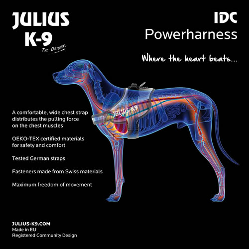 Julius K9 ユリウスケーナイン Idcパワーハーネス サイズ1 レッド ターコイズ デニム 犬用ハーネス ワーキングドッグ 耐久性 反射板付き あす楽 年中無休 Doorsinmotioninc Com