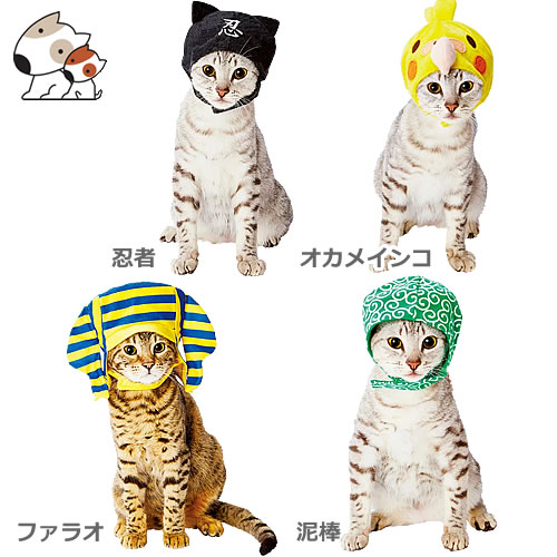 楽天市場 数量限定 ペティオ 猫用変身ほっかむり 忍者 オカメインコ ファラオ 泥棒 猫用 秋冬向け 送料無料 メール便 ペッツマム